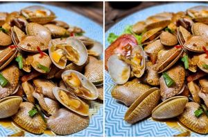 Mengenal Lezatnya Makanan Kerang Saus Tiram yang Menggoda